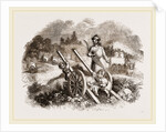 Bullock Carts of the Nimade Tartars by Anonymous