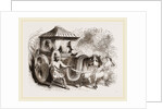 Zebus and Indian Car India by Anonymous