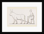 Ancient Egyptian Ploughing Egypt by Anonymous