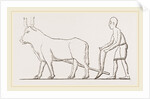 Ancient Egyptian Ploughing Egypt by Anonymous