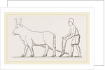 Ancient Egyptian Ploughing Egypt by Anonymous