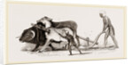Ploughing with Ox and Ass by Anonymous