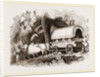 Zebus and Turkish Arabah by Anonymous