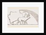 Ancient Egyptian Ploughing Egypt by Anonymous
