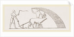 Ancient Egyptian Ploughing Egypt by Anonymous