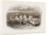Bullock Caravan in Moldavia by Anonymous