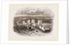 Bullock Caravan in Moldavia by Anonymous