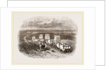 Bullock Caravan in Moldavia by Anonymous