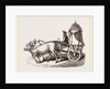 Zebus and Car by Anonymous