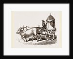 Zebus and Car by Anonymous