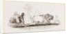Modern Egyptian Ploughing Egypt by Anonymous