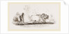 Modern Egyptian Ploughing Egypt by Anonymous
