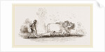 Modern Egyptian Ploughing Egypt by Anonymous