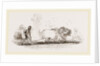 Modern Egyptian Ploughing Egypt by Anonymous