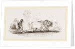 Modern Egyptian Ploughing Egypt by Anonymous