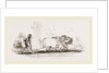 Modern Egyptian Ploughing Egypt by Anonymous