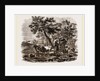 Oriental Landscape and Cattle by Anonymous