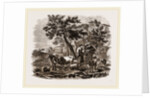Oriental Landscape and Cattle by Anonymous