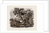 Oriental Landscape and Cattle by Anonymous