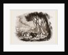 Wild Bull-hunting in the Alemtejo by Anonymous