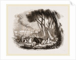 Wild Bull-hunting in the Alemtejo by Anonymous