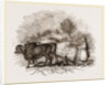 Modern Egyptian Ploughing by Anonymous