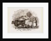 Modern Egyptian Ploughing by Anonymous