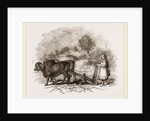Modern Egyptian Ploughing by Anonymous