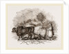 Modern Egyptian Ploughing by Anonymous