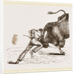 Bull fight by Anonymous