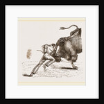 Bull fight by Anonymous