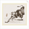 Bull fight by Anonymous