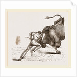 Bull fight by Anonymous