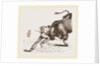 Bull fight by Anonymous
