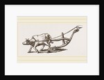 Ancient Plough by Anonymous