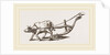 Ancient Plough by Anonymous