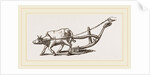 Ancient Plough by Anonymous