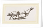 Ancient Plough by Anonymous