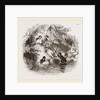 Sheep-washing by Anonymous