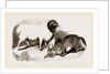 Persian Sheep and Caracal by Anonymous