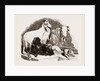 Long-eared Syrian Goats by Anonymous