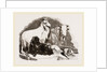 Long-eared Syrian Goats by Anonymous