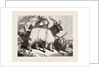 Caslimir Goats by Anonymous