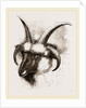 Head of Four-horned Ram by Anonymous