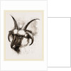 Head of Four-horned Ram by Anonymous