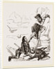 Chamois hunters by Anonymous