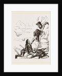 Chamois hunters by Anonymous