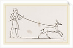 Gazelle caught in lasso Egyptian by Anonymous