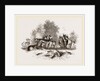 Group of Ariel Gazelles by Anonymous