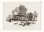 Group of Ariel Gazelles by Anonymous